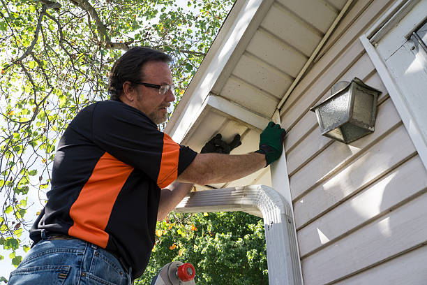 Best Siding Maintenance  in Owensboro, KY